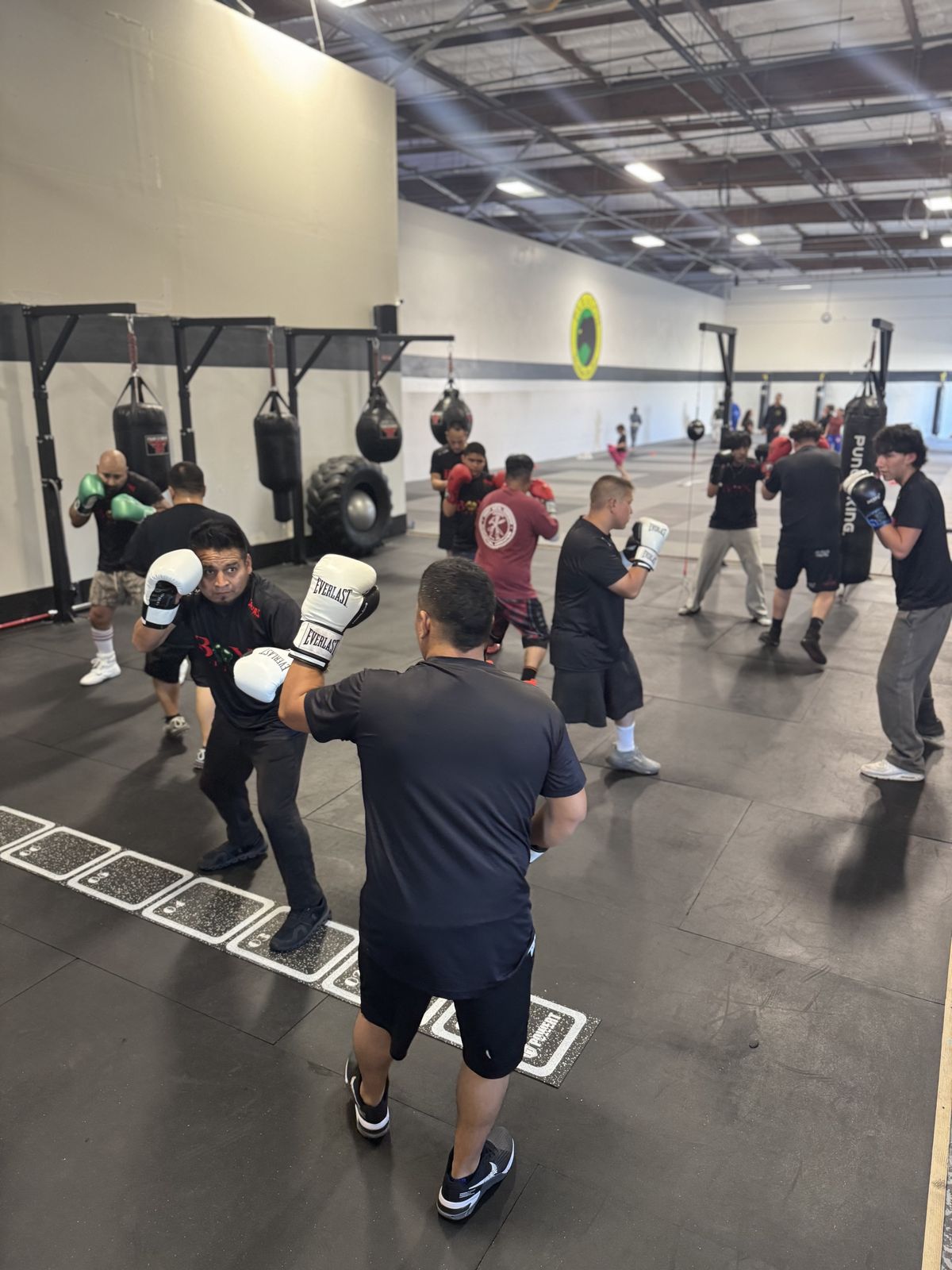 BoxFit Mohi