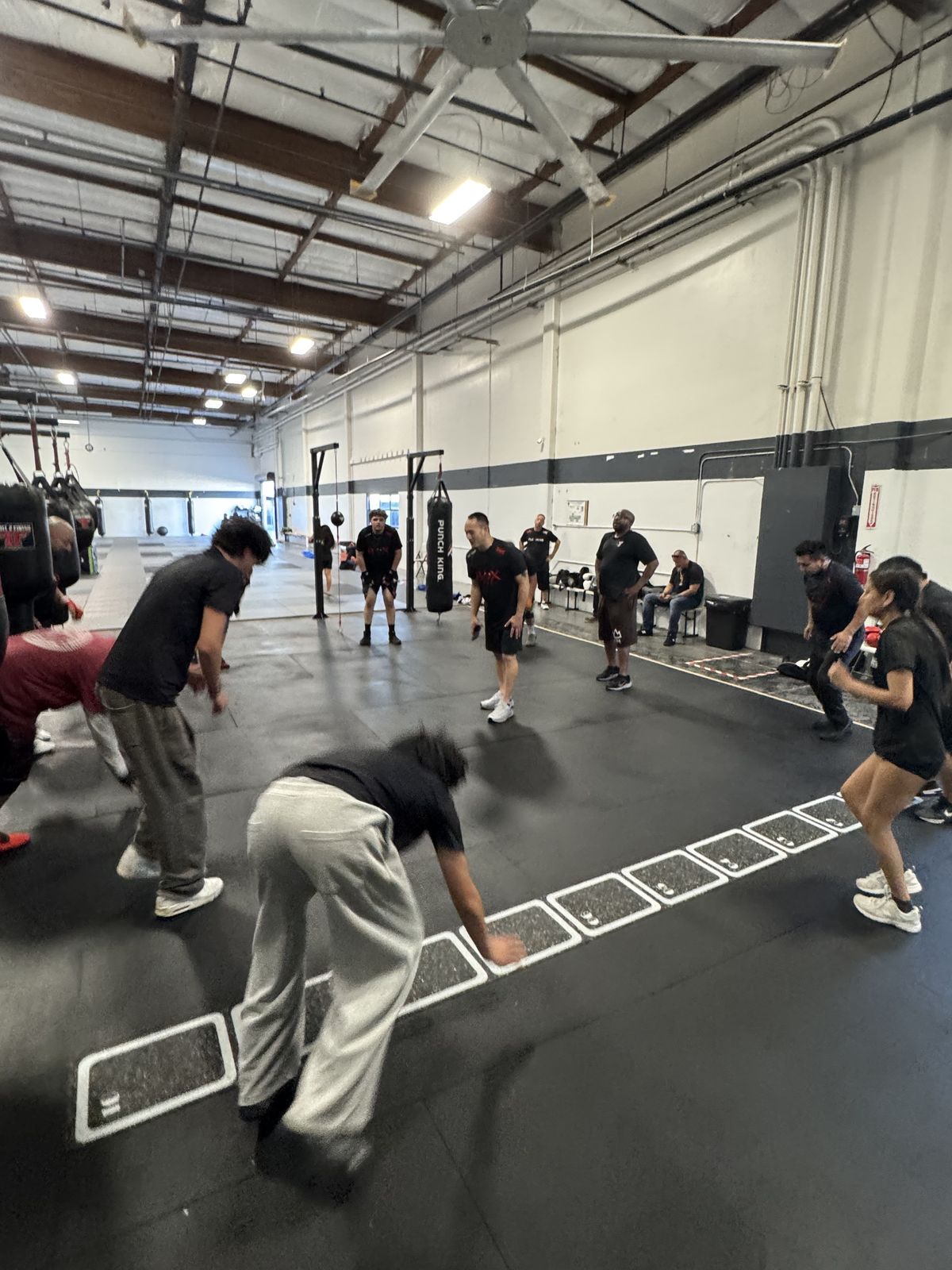 BoxFit Mohi