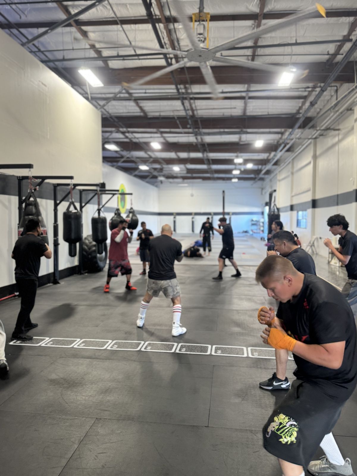 BoxFit Mohi members